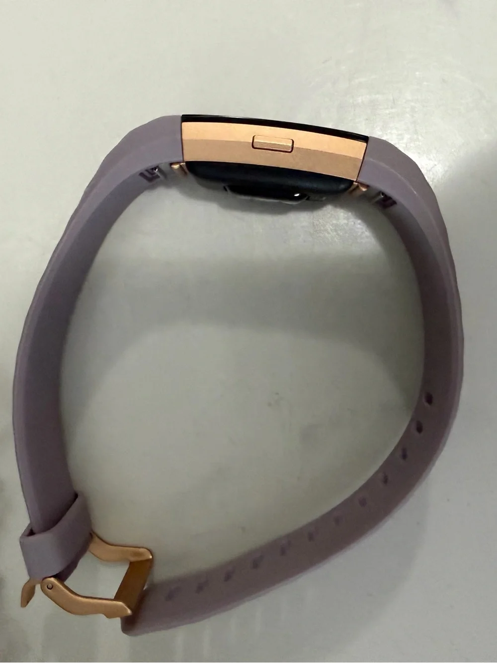 fitbit heart rate